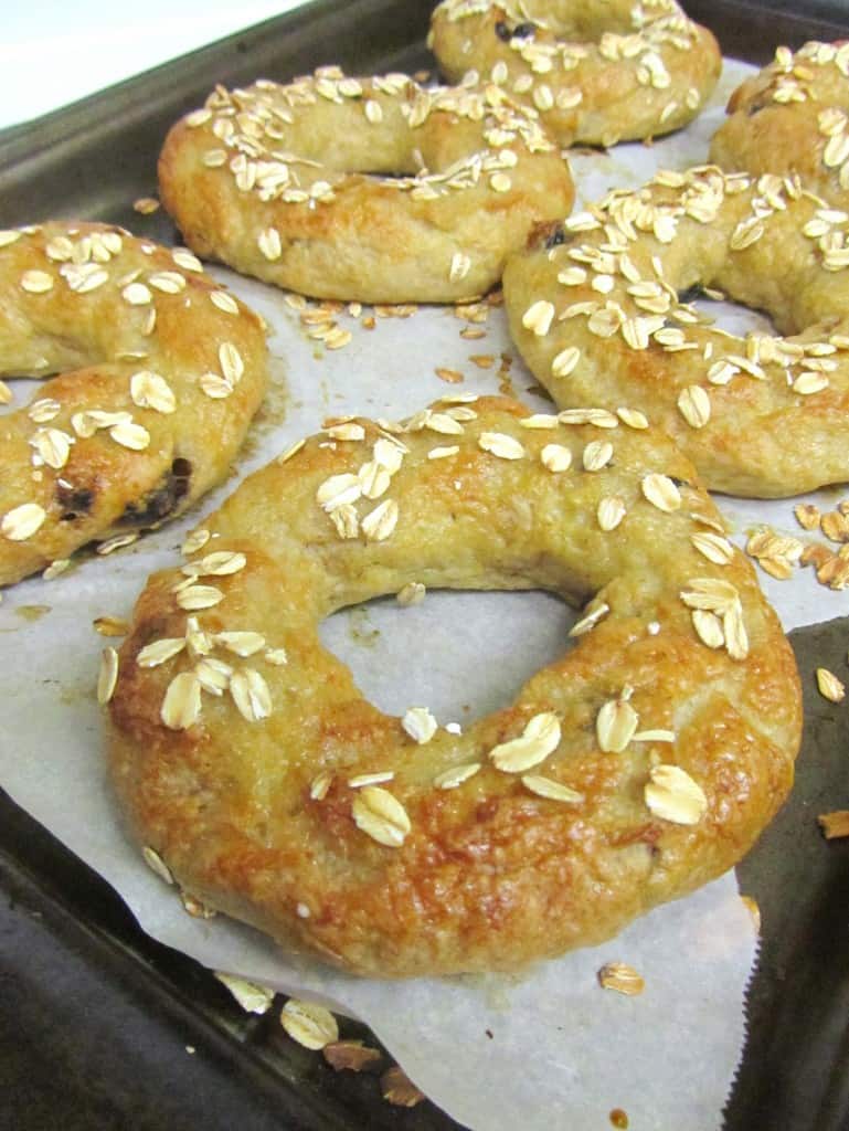 Blueberry Oatmeal Bagels The Spiffy Cookie