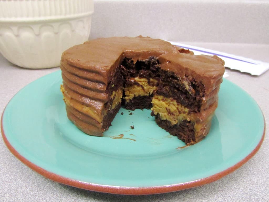 Review Wilton's Icing Smoother and Comb Set The Spiffy Cookie