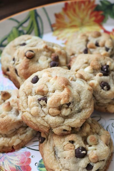 Big Fat Chewy Multichip Cookies #thespiffycookie #peanutbutter