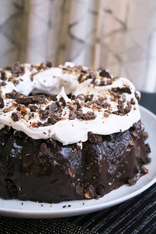 Devil's Food Nutella Bundt Cake