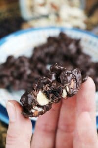 Blueberry-Almond Turtles