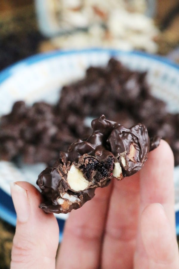 Blueberry-Almond Turtles