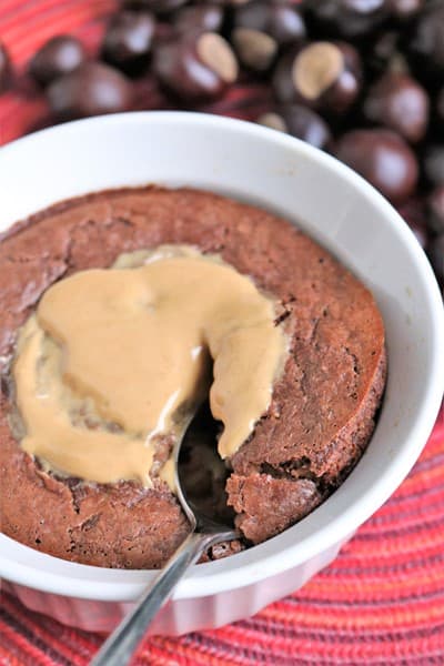 Buckeye Baked Oatmeal #chocolateoatmeal #thespiffycookie