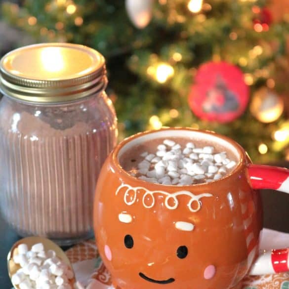 Homemade Hot Cocoa Mix in a mug.