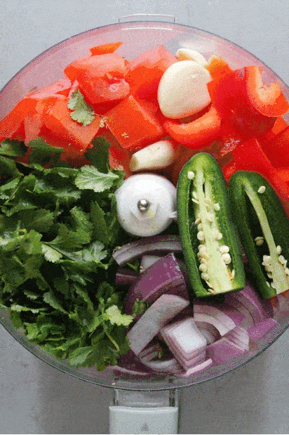 Homemade Salsa GIF