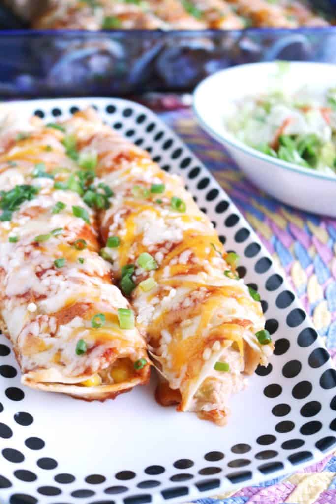 Cream Cheese Chicken Enchiladas The Spiffy Cookie