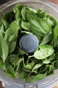 Homemade Basil Pesto GIF