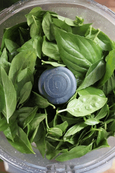 Homemade Basil Pesto GIF