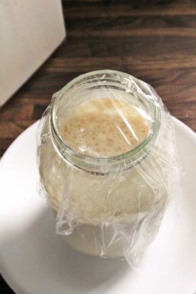 Sourdough Starter #sourdough