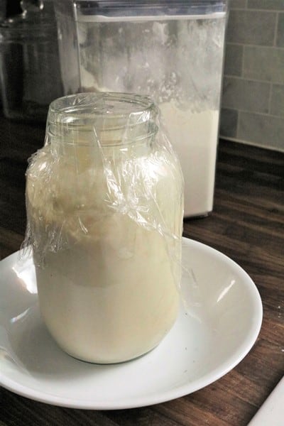 Sourdough Starter #DIY