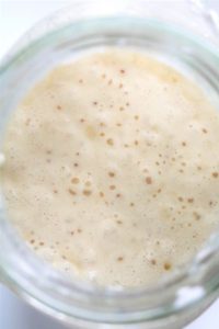 Sourdough Starter #sourdough