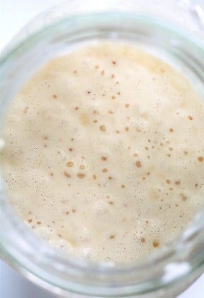 Sourdough Starter #sourdough