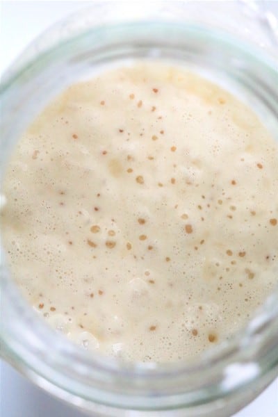 Sourdough Starter #sourdough