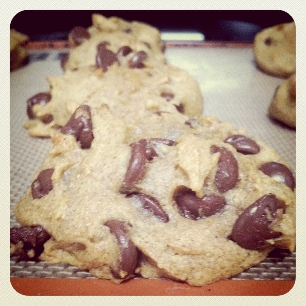 GF Pumpkin Choc Chip Cookies