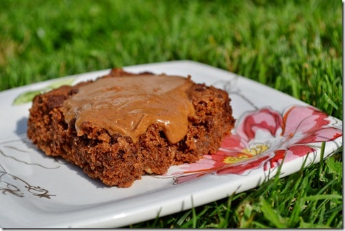 Almond Butter Choc Chip Bars