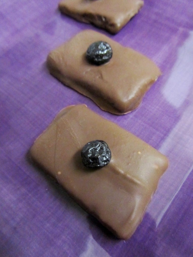 Blueberry Chocolates