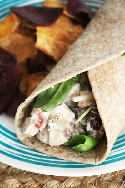 Chicken Salad with Grapes, Apple, and Pecans 2