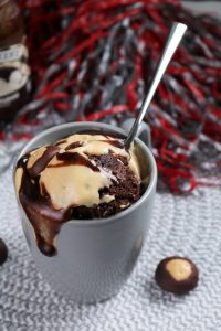 Chocolate Peanut Butter Mug Cake