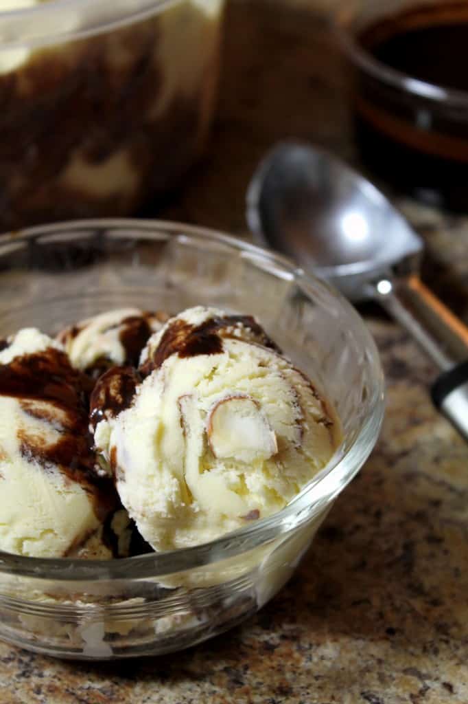 Honey Almond Ice Cream with Fudge Ripple 3