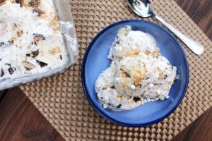 No-Churn S'mores Ice Cream