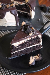 Dark Chocolate Peanut Butter Cup Cake 3