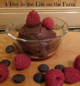 Dark Chocolate Raspberry Almond Ice Cream