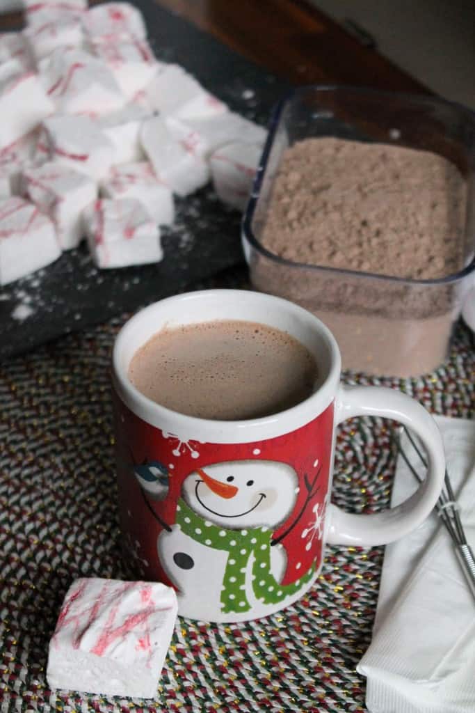Homemade Malted Hot Chocolate Mix 1
