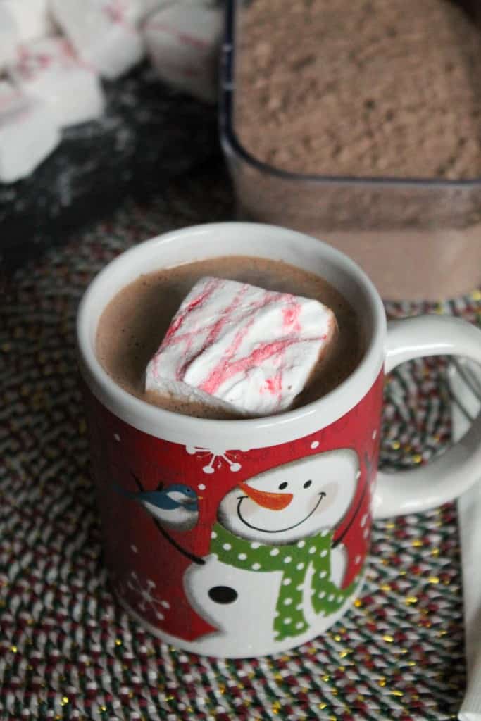Homemade Malted Hot Chocolate Mix 3