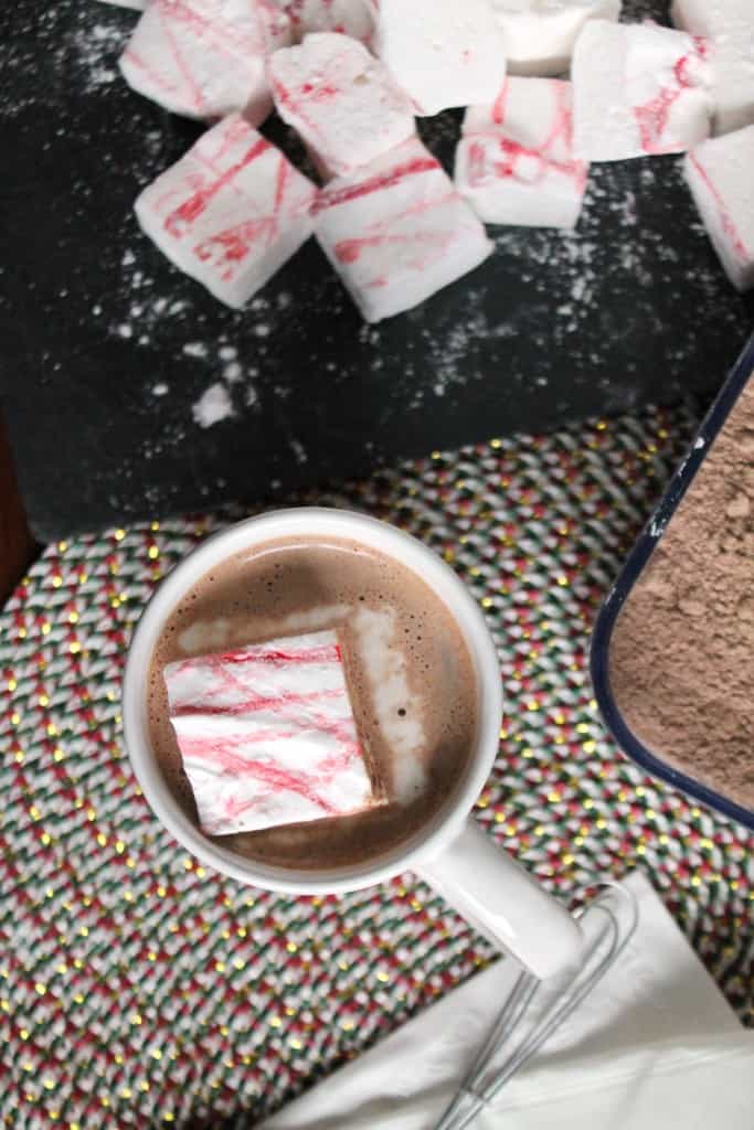 Homemade Malted Hot Chocolate Mix 4