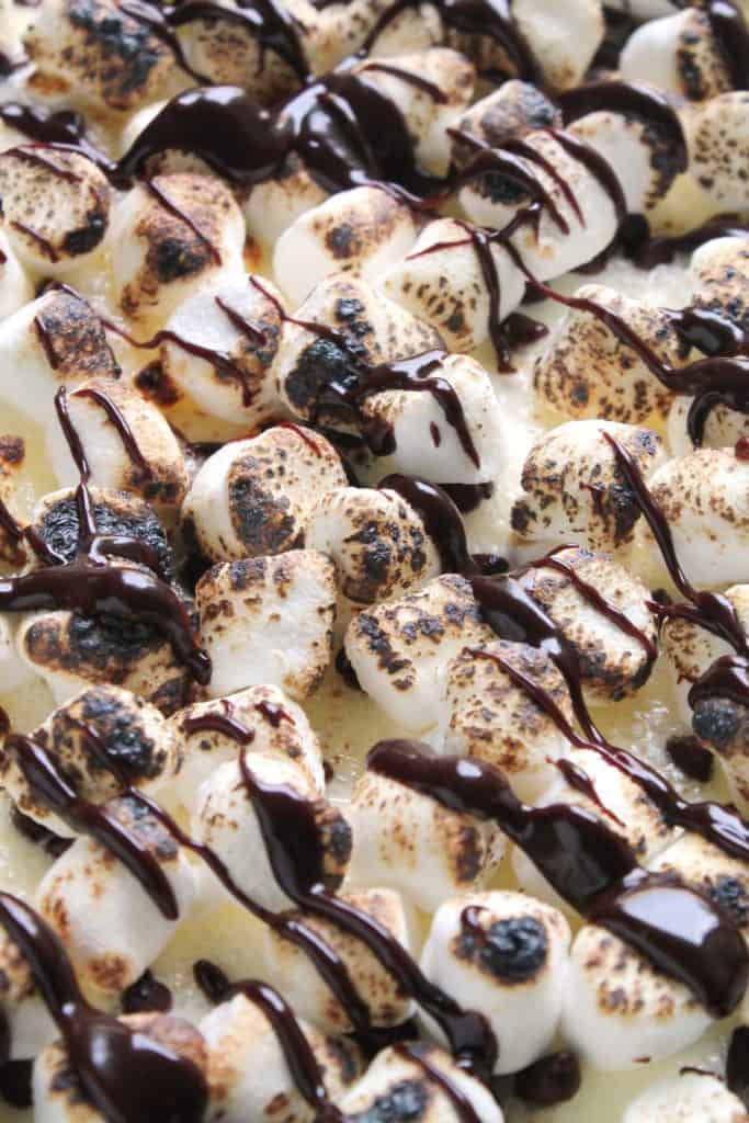 S'mores Dessert Lasagna 1