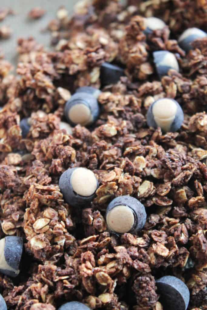 buckeye-granola-2