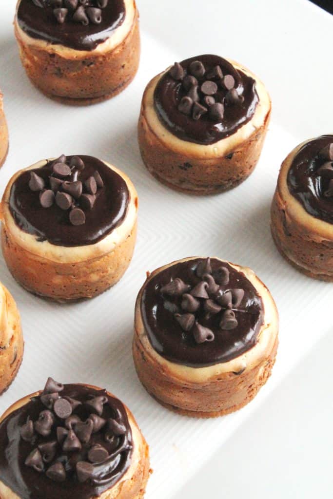 Mini Chocolate Chip Oreo Cheesecakes 5