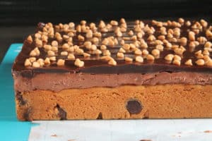 Peanut Butter Dark Chocolate Blondie Bricks 1