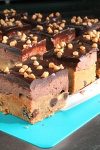 Peanut Butter Dark Chocolate Blondie Bricks 2