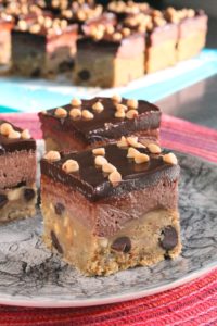 Peanut Butter Dark Chocolate Blondie Bricks 3