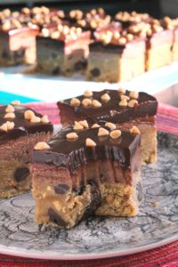 Peanut Butter Dark Chocolate Blondie Bricks 4