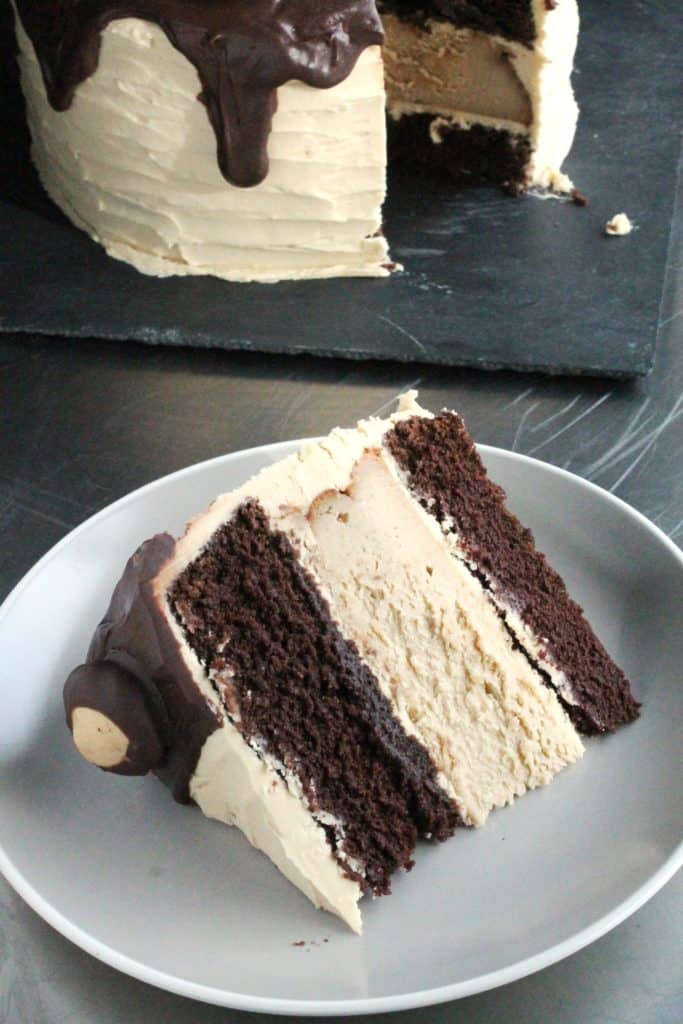 Buckeye Cheesecake Cake 2