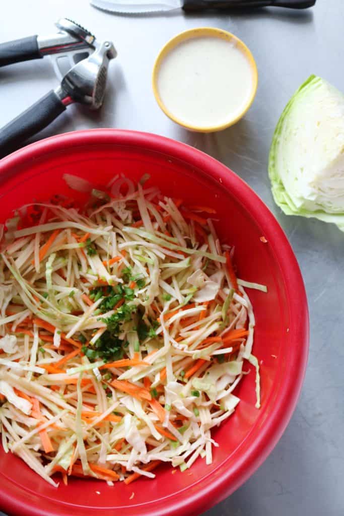 Granny Smith Apple Slaw 1x