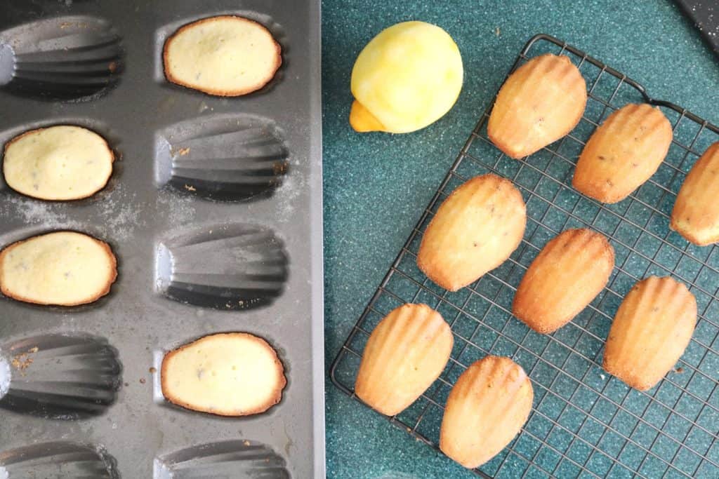 Lemon Lavender Madeleines 1