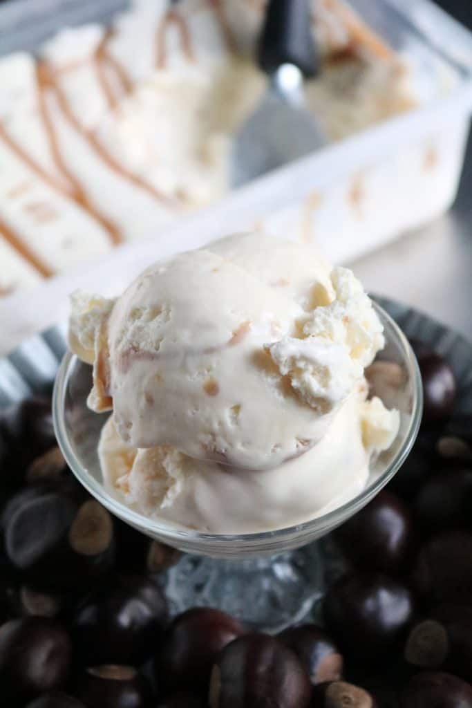  No-Churn White Chocolate Peanut Butter Swirl Ice Cream 2