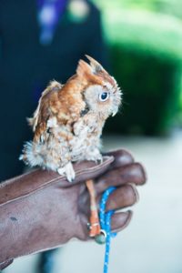Columbus Mobile Zoo 4