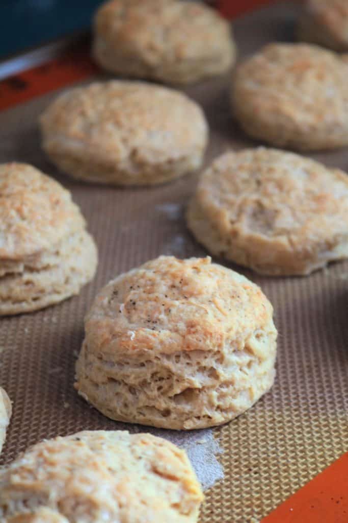 Black Pepper Parmesan Biscuits 1