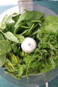 Carrot Top Pesto 2