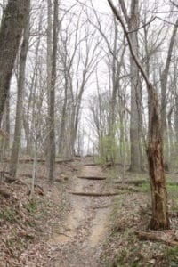 Alley Park