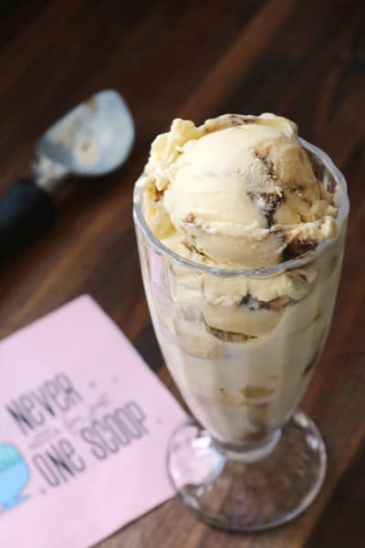 Honey Roasted Garlic Ice Cream with Balsamic Swirl 1