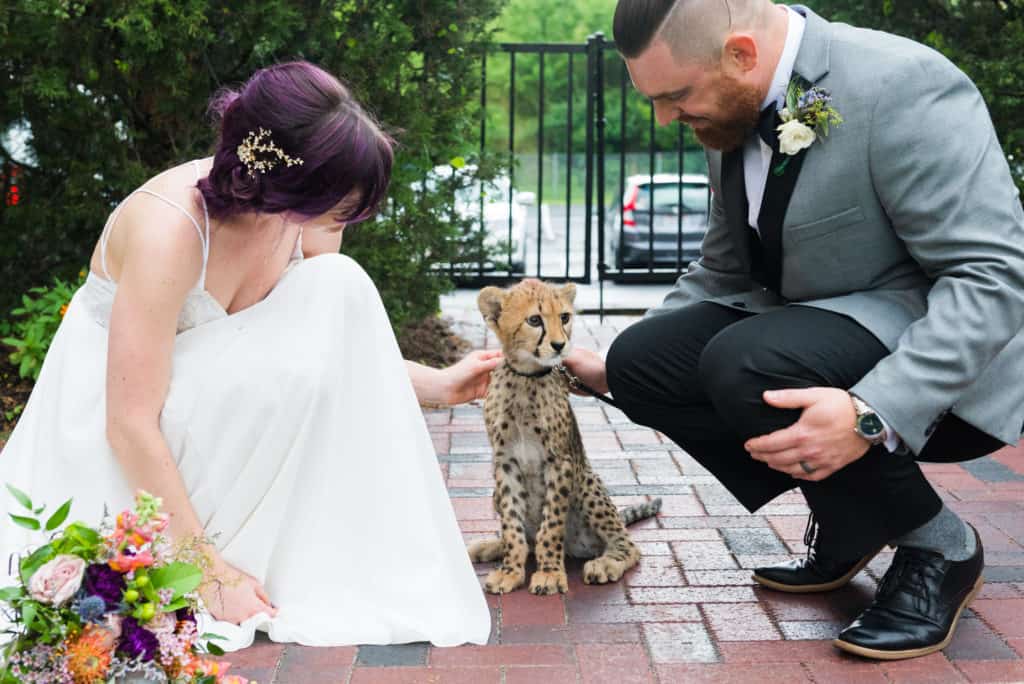 The Spiffy Wedding Kita Roberts