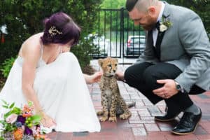 The Spiffy Wedding Kita Roberts