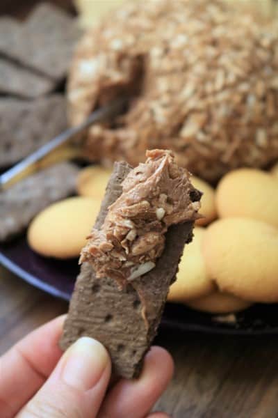 Nutella Dip with Graham Crackers