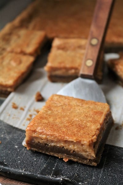 Gingerbread Gooey Butter Cake #thespiffycookie 