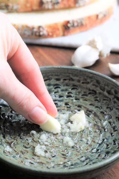 Fossil Garlic Grater